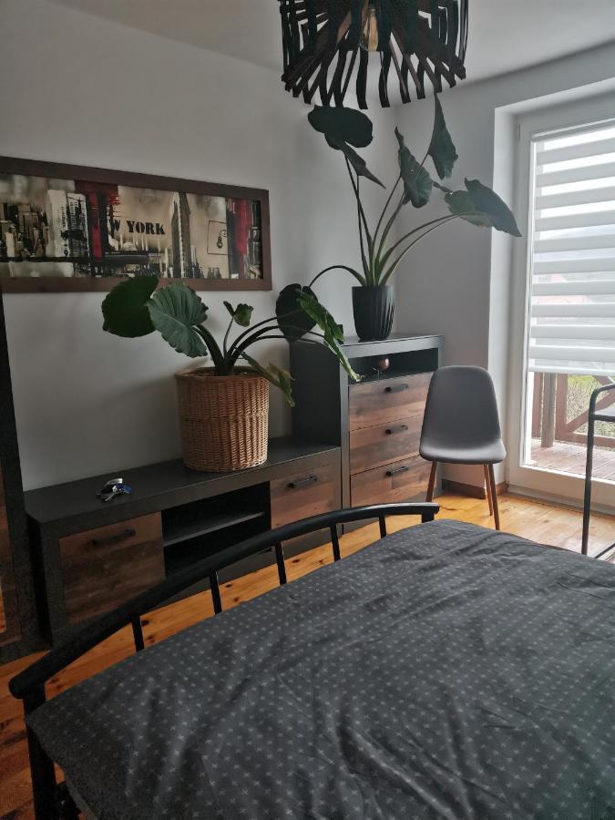 Apartament Forest ميسواكوفيتسه المظهر الخارجي الصورة