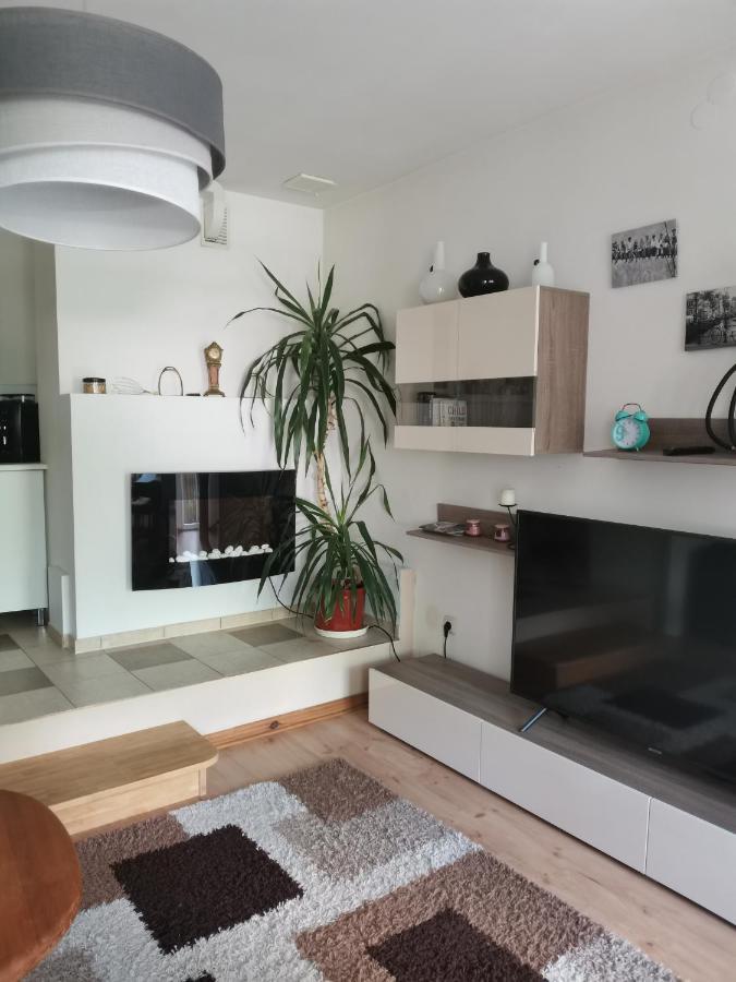 Apartament Forest ميسواكوفيتسه المظهر الخارجي الصورة