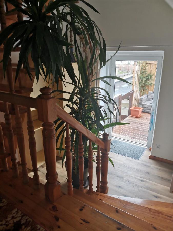 Apartament Forest ميسواكوفيتسه المظهر الخارجي الصورة