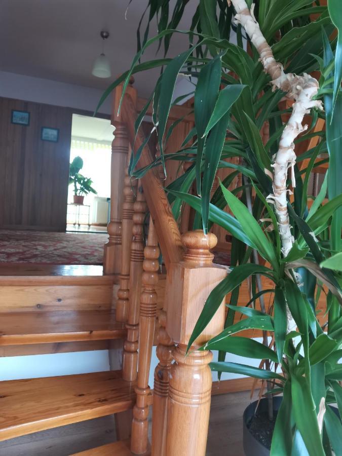 Apartament Forest ميسواكوفيتسه المظهر الخارجي الصورة
